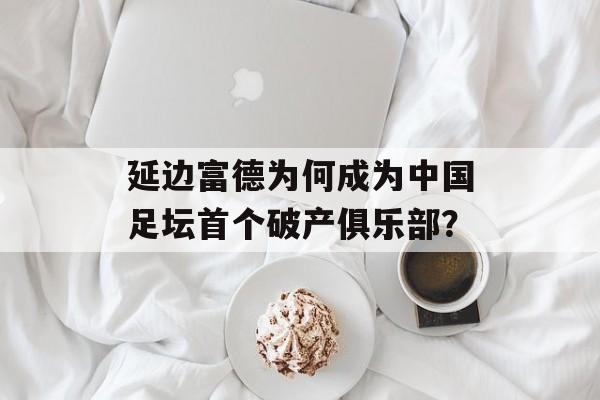 延边富德为何成为中国足坛首个破产俱乐部？-第1张图片-