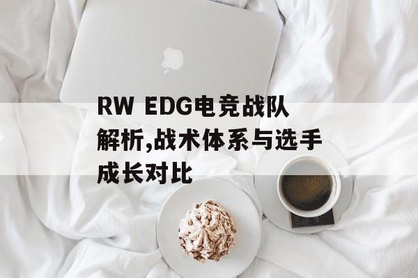 RW EDG电竞战队解析,战术体系与选手成长对比-第1张图片- RW EDG电竞战队解析,战术体系与选手成长对比-第1张图片-