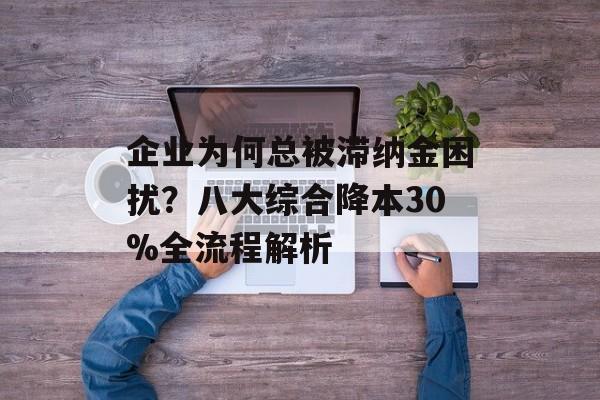 企业为何总被滞纳金困扰?八大综合降本30%全流程解析-第1张图片- 企业为何总被滞纳金困扰?八大综合降本30%全流程解析-第1张图片-
